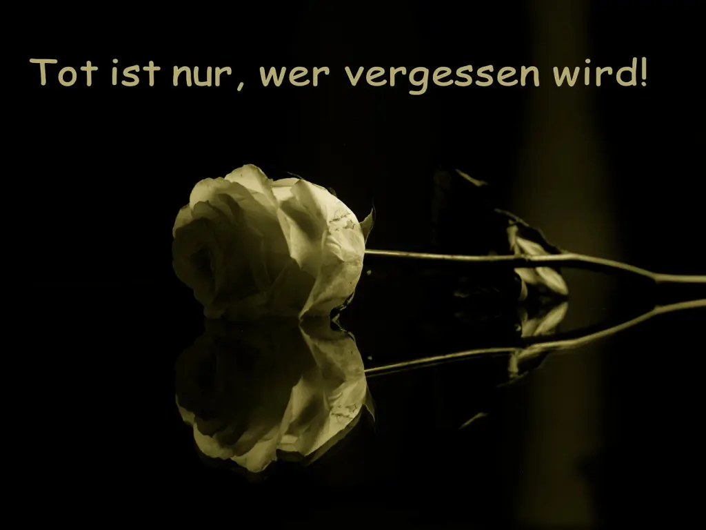 Andachtsbild von Ina mit Balu im Herzen