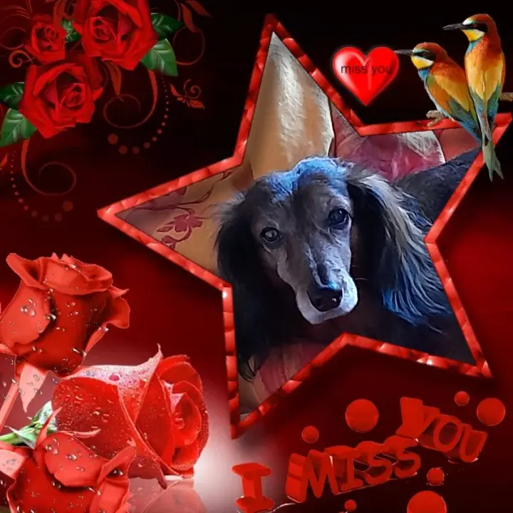 Andachtsbild von Iris, Arno und Sven ❤️❤️❤️