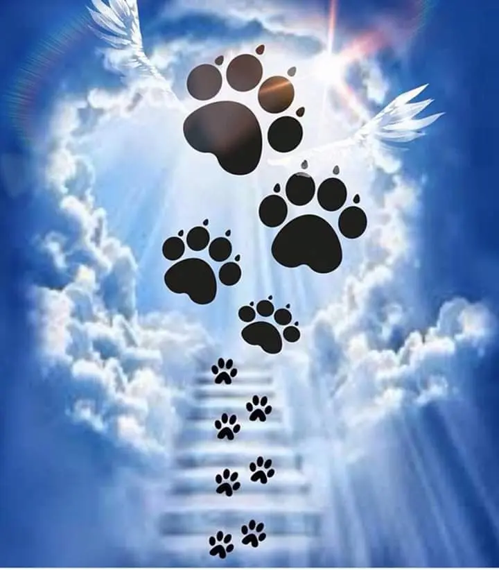 Condolence image of Iris, Arno und Sven ❤️ ❤️ ❤️