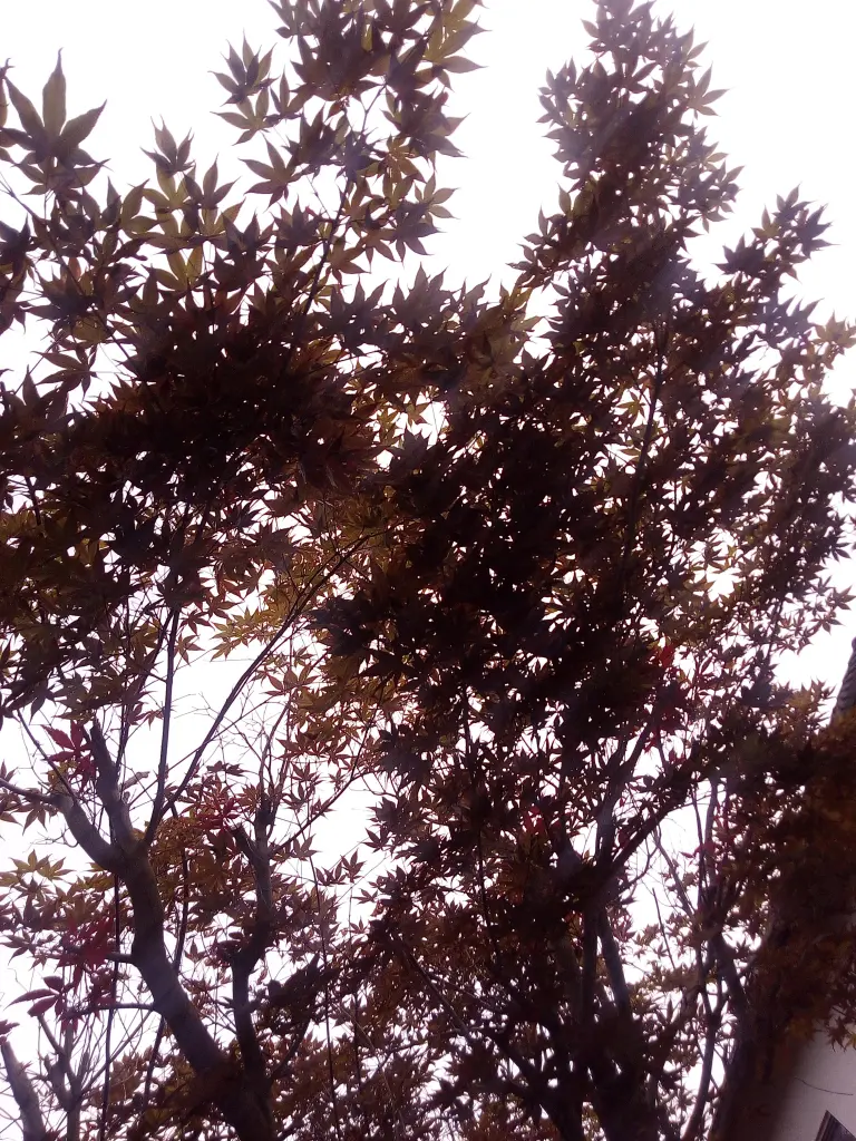 Image from Baby