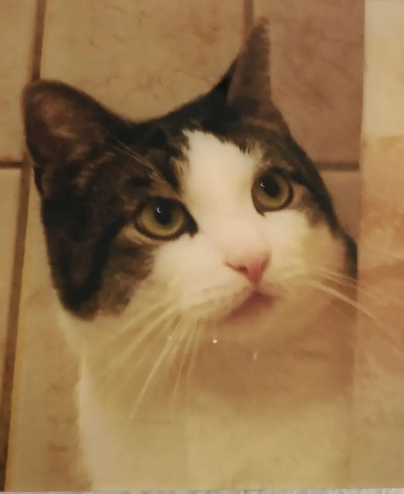 Andachtsbild von Petra