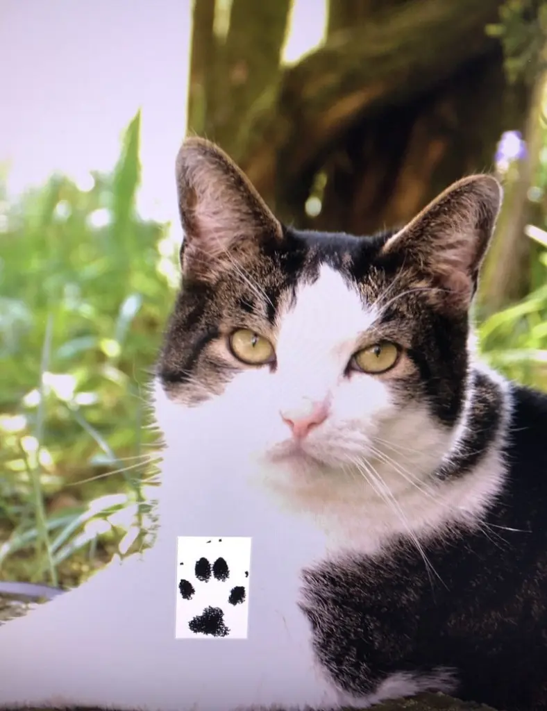 Andachtsbild von Petra mit Timmy im Herzen