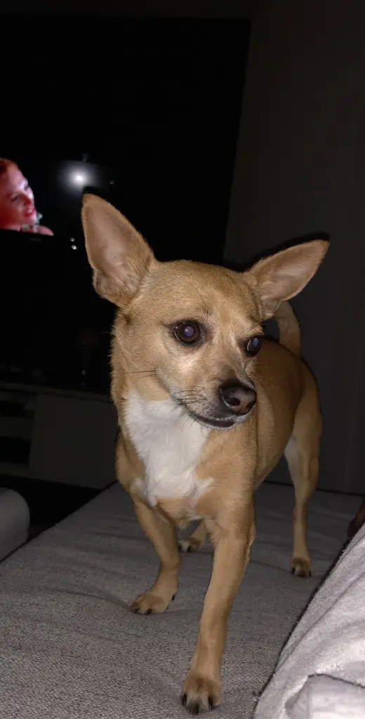 Image from Diego