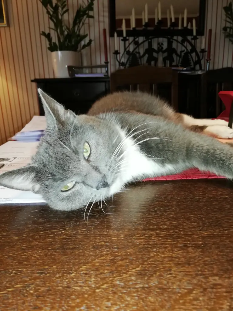 Image from Simba