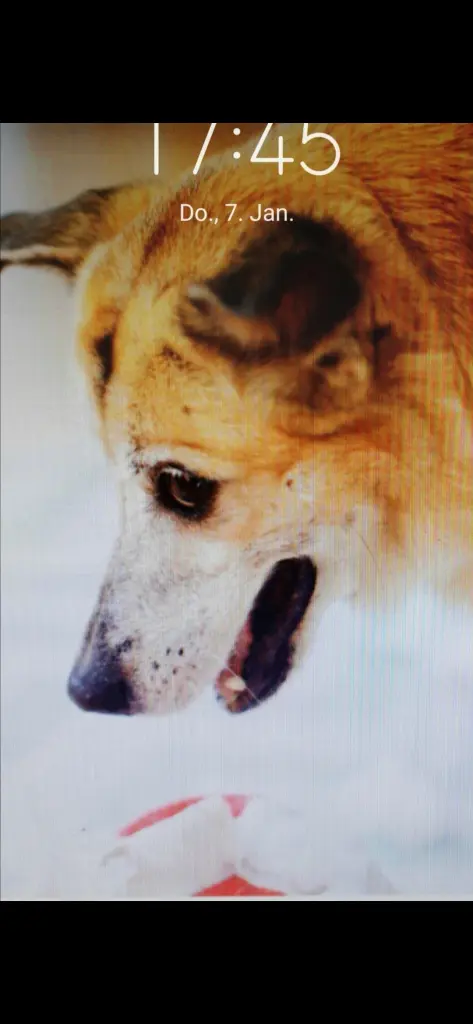 Image from Barney-Beere