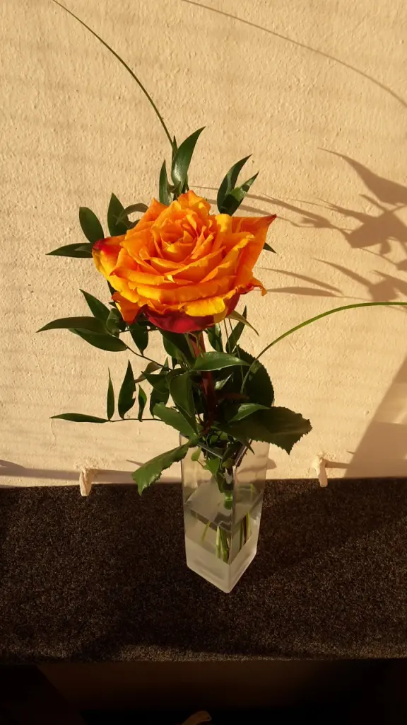 Image from Amy