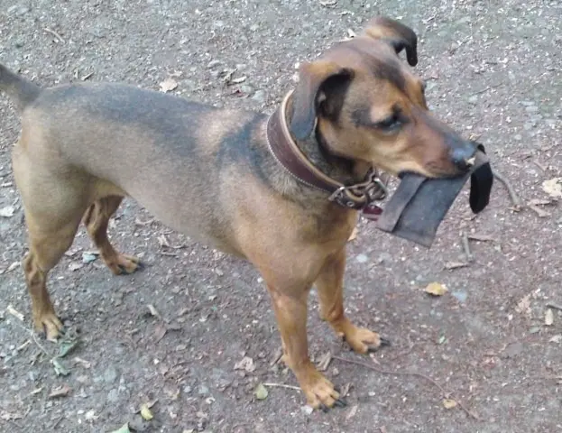 Bild von Don Hugo