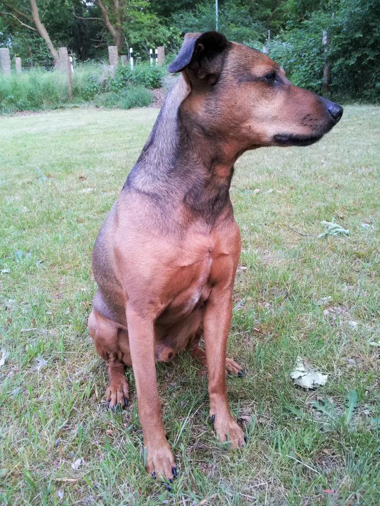 Bild von Don Hugo