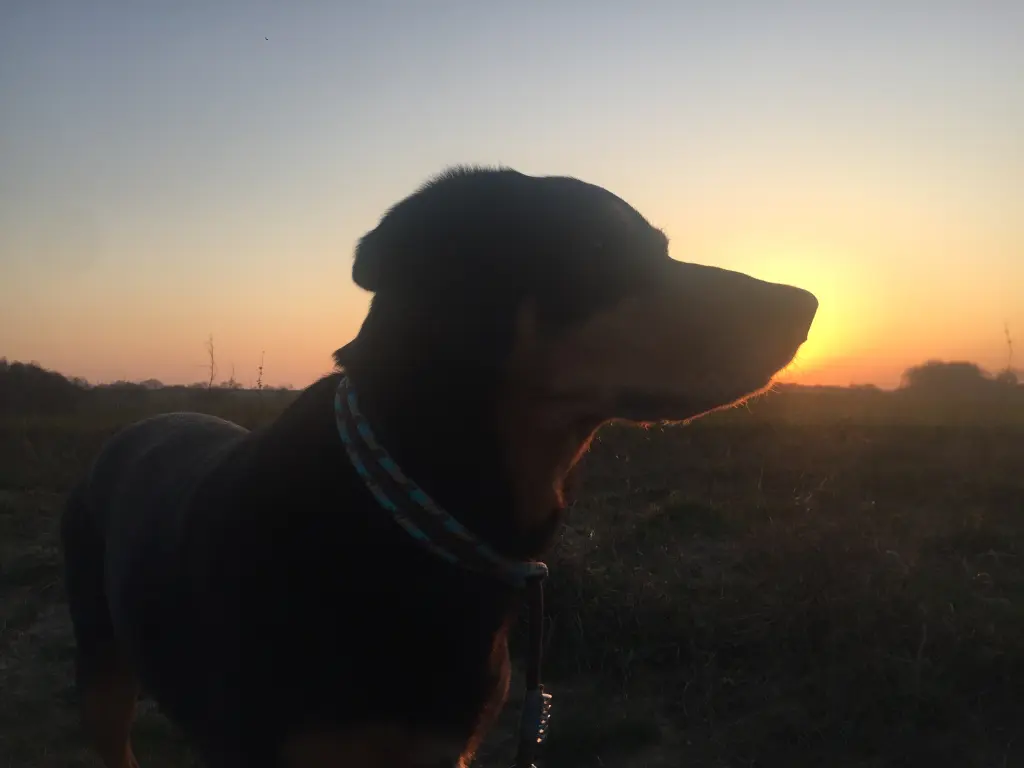 Image from Kirei