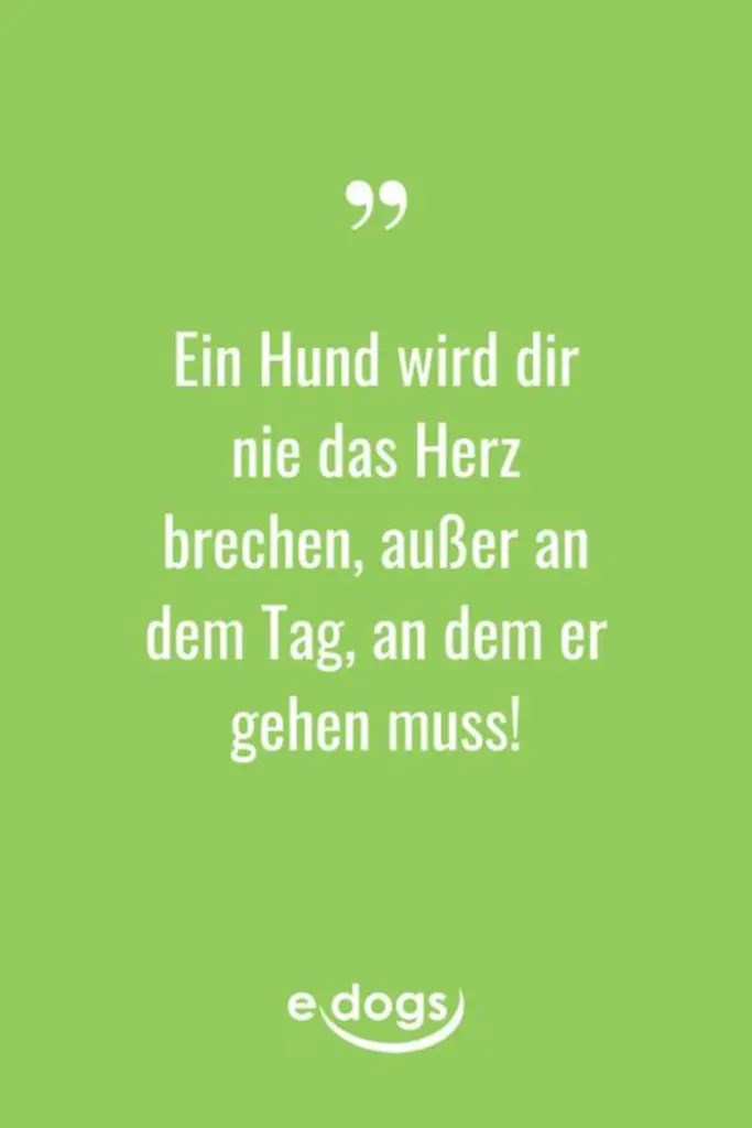 Andachtsbild von Gabi mit Max (gest. 20.11.2020)