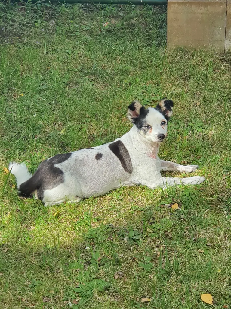 Image from Djego