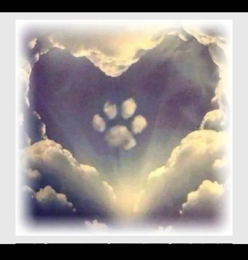 Condolence image of Hanne