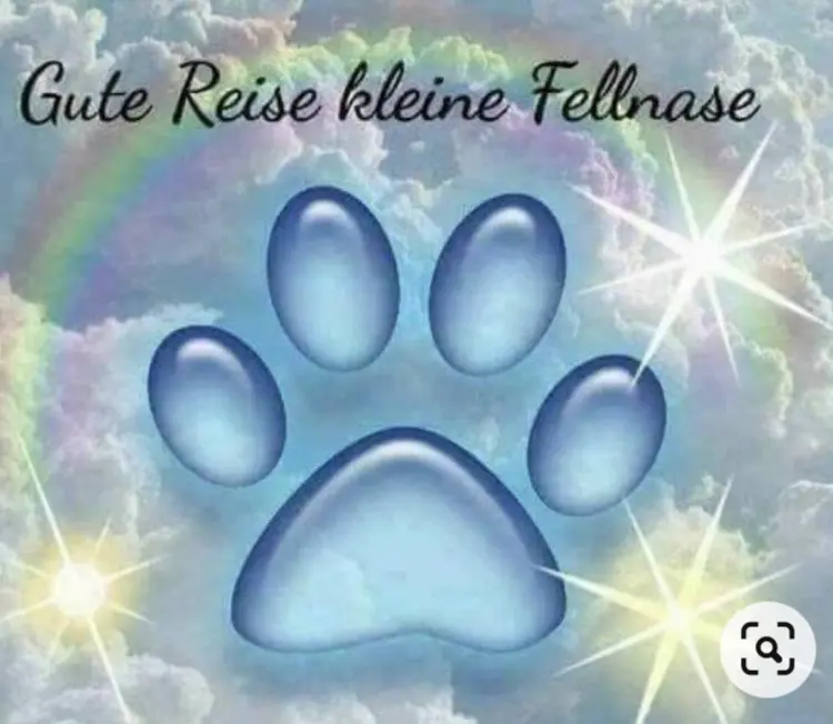 Image from Raffi