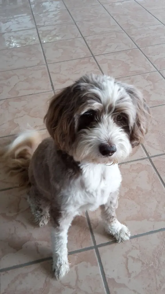 Condolence image of Bettina