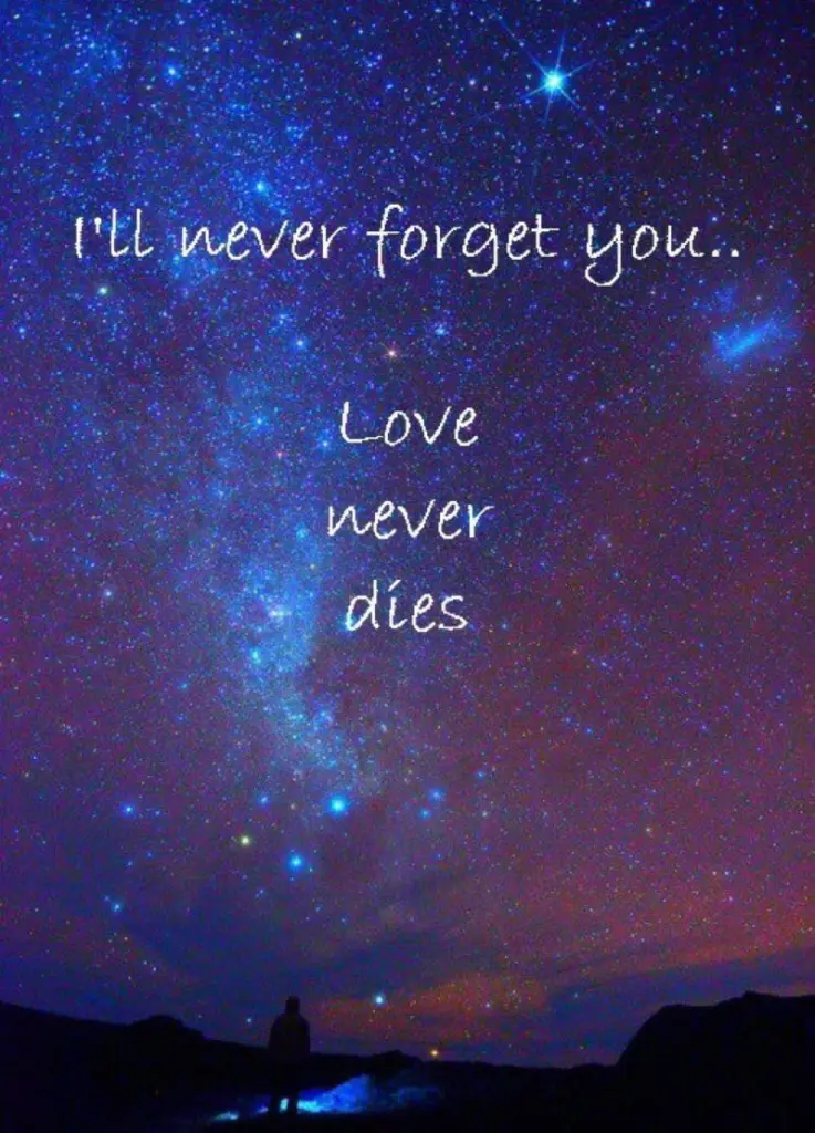 Condolence image of Katrin und Katzi im ❤️