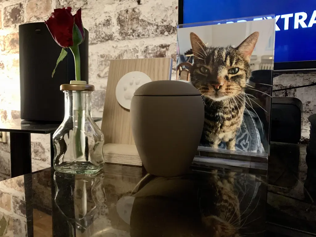 Image from Spike