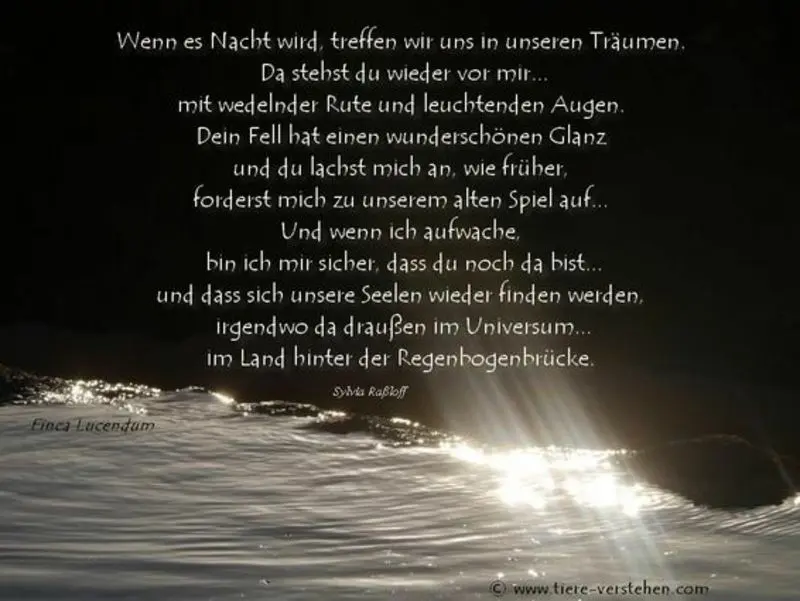 Andachtsbild von Andrea mit Minki im ❤ gest.19.10.2020
