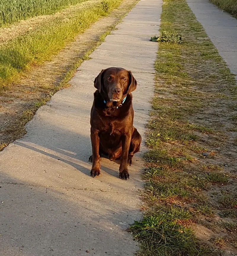 Andachtsbild von Silvana 