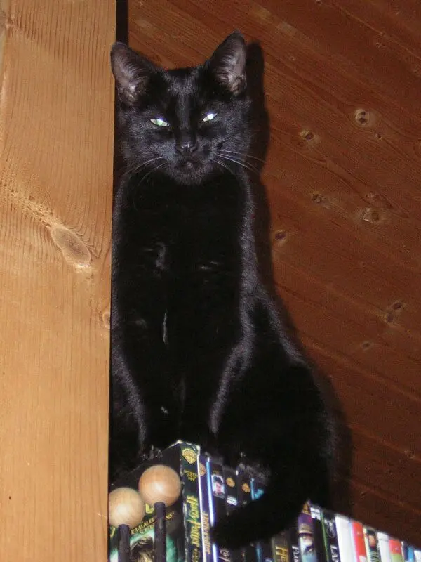 Condolence image of Nina-Constance