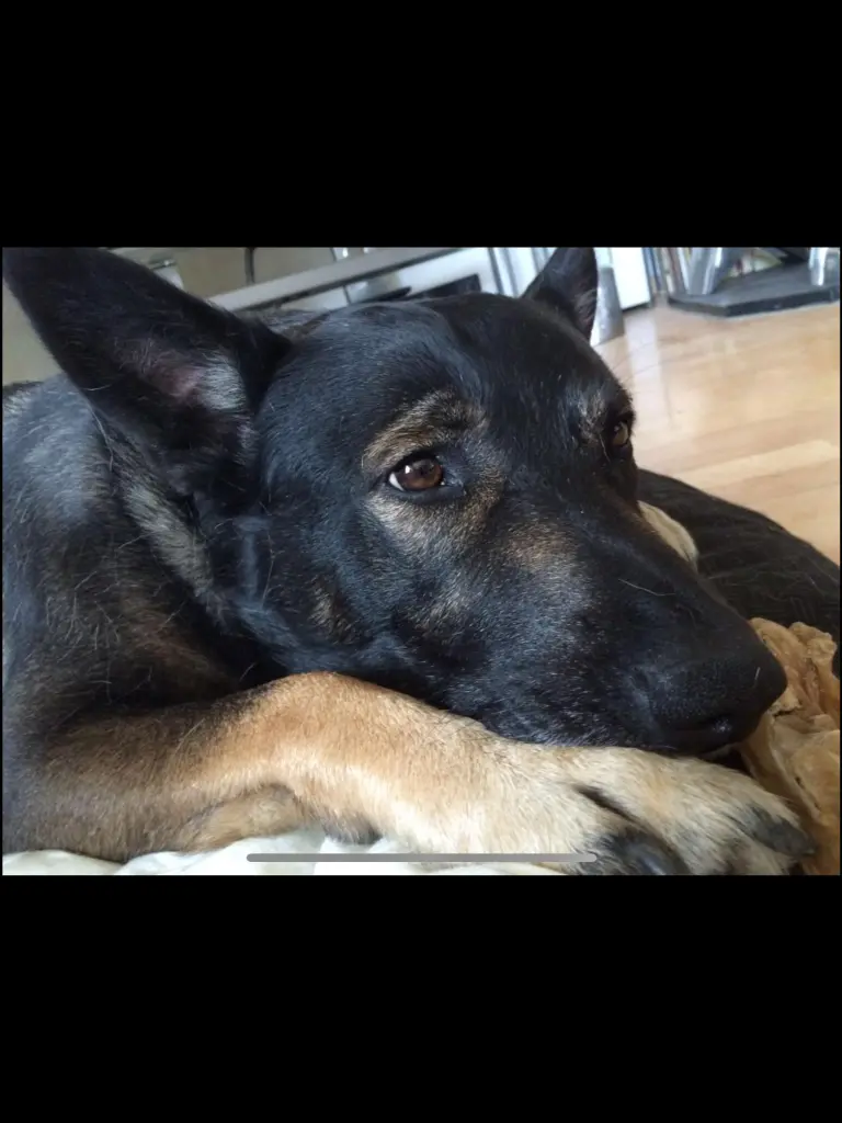 Image from Monty