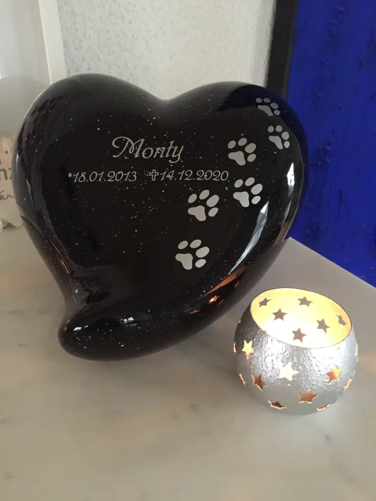 Image from Monty