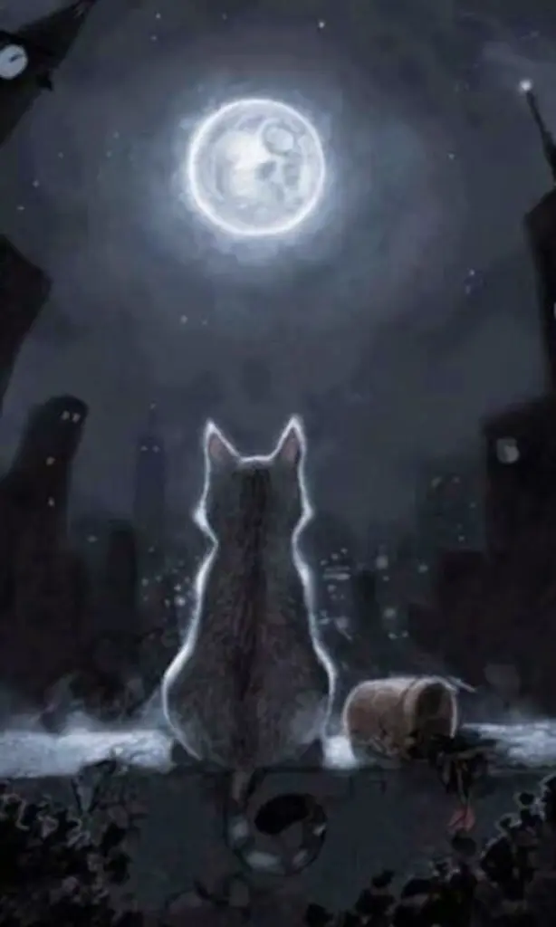 Condolence image of Katrin und Katzi im ❤️