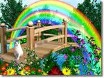 Condolence image of Katrin und Katzi im ❤️