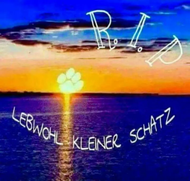 Condolence image of Ina Erberich