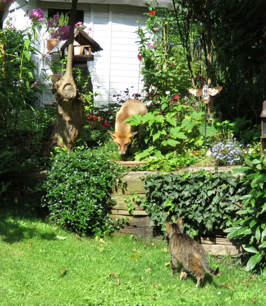 Bild von Nelson "Nelly"