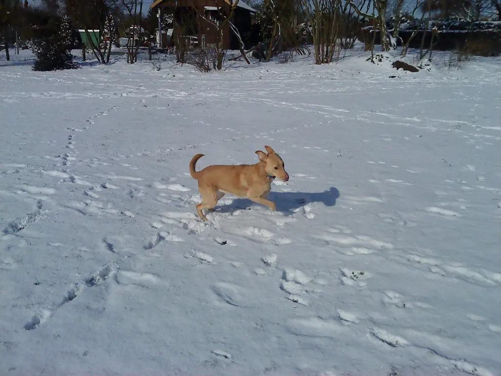 Image from Lilli