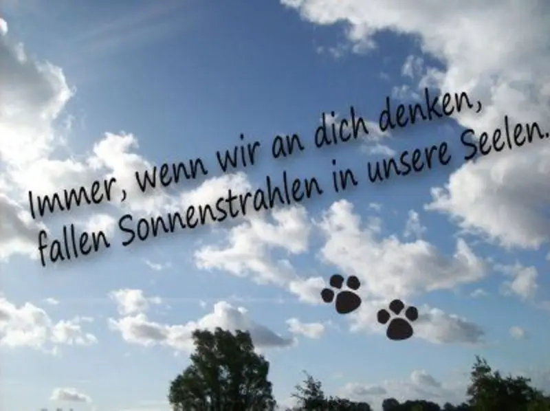 Condolence image of Ina Erberich