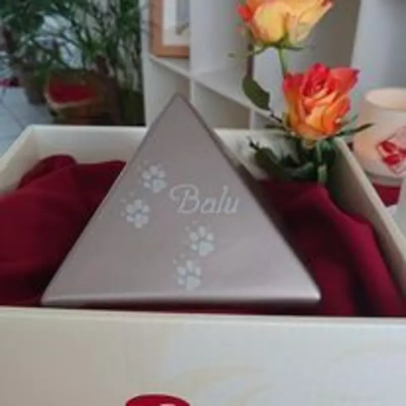 Condolence image of Ina Erberich