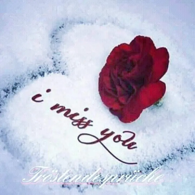 Condolence image of Ina