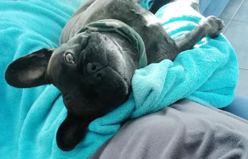 Condolence image of Marina  Matull 