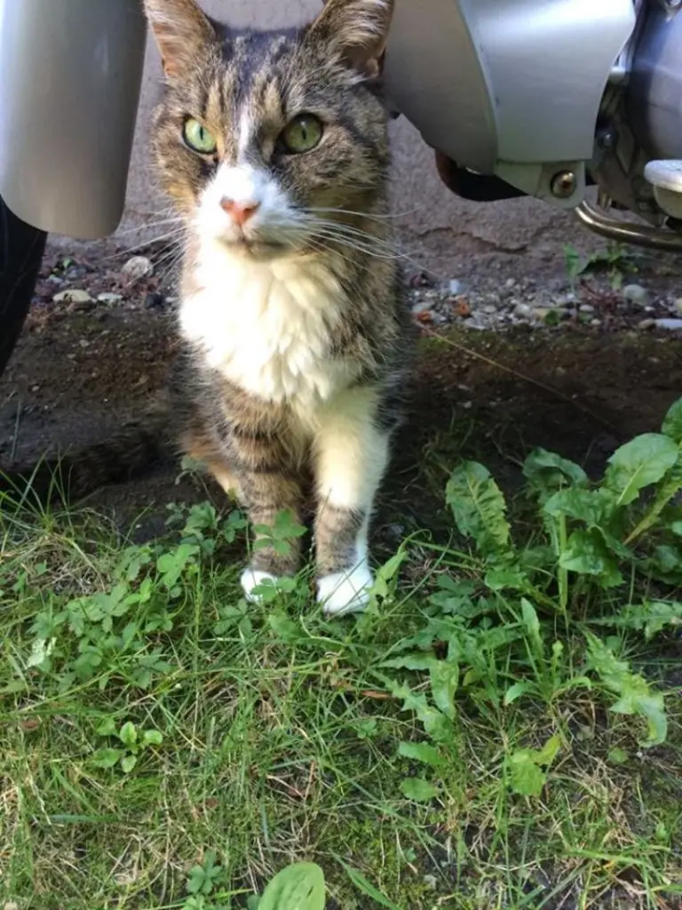 Condolence image of Bianca Balos-Fendler