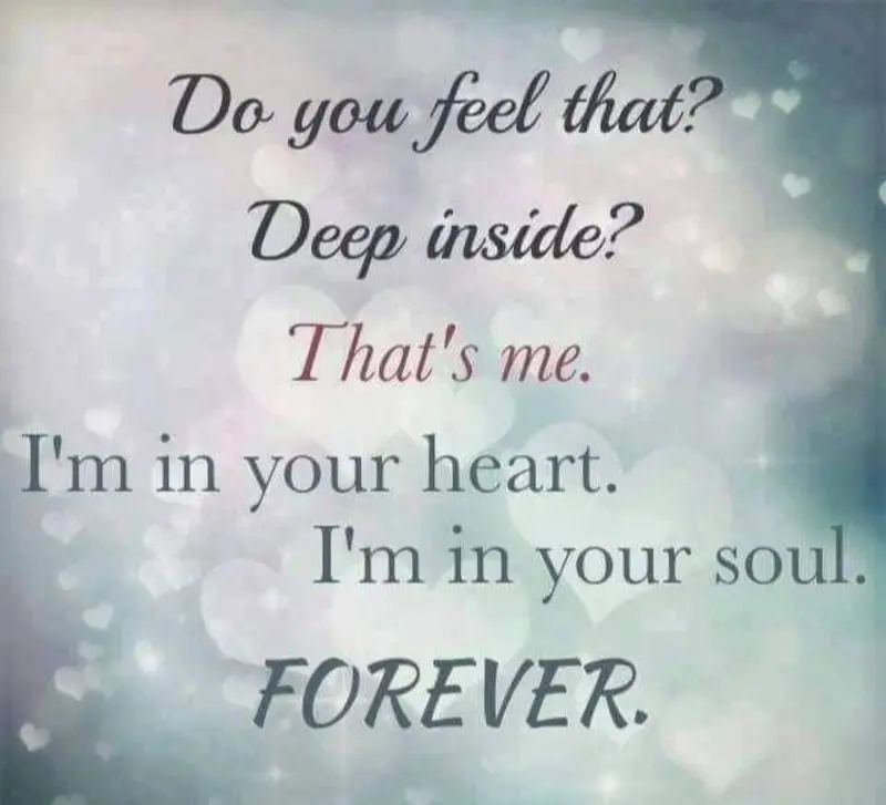 Condolence image of Sabine mit Luna & Milo tief im Herzen