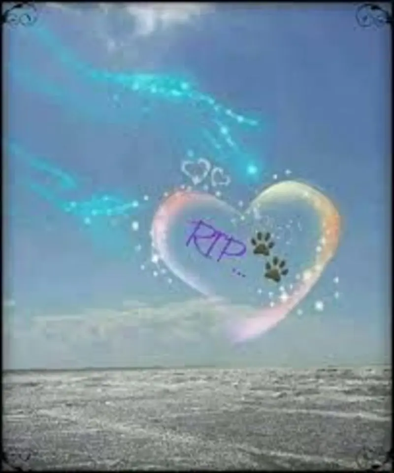 Condolence image of Unbekannt