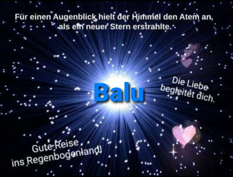 Condolence image of Ina Erberich