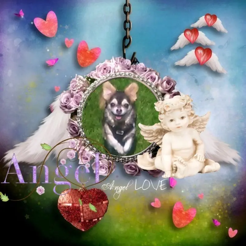 Condolence image of ❤️❤️❤️❤️❤️❤️❤️❤️❤️❤️❤️❤️❤️❤️