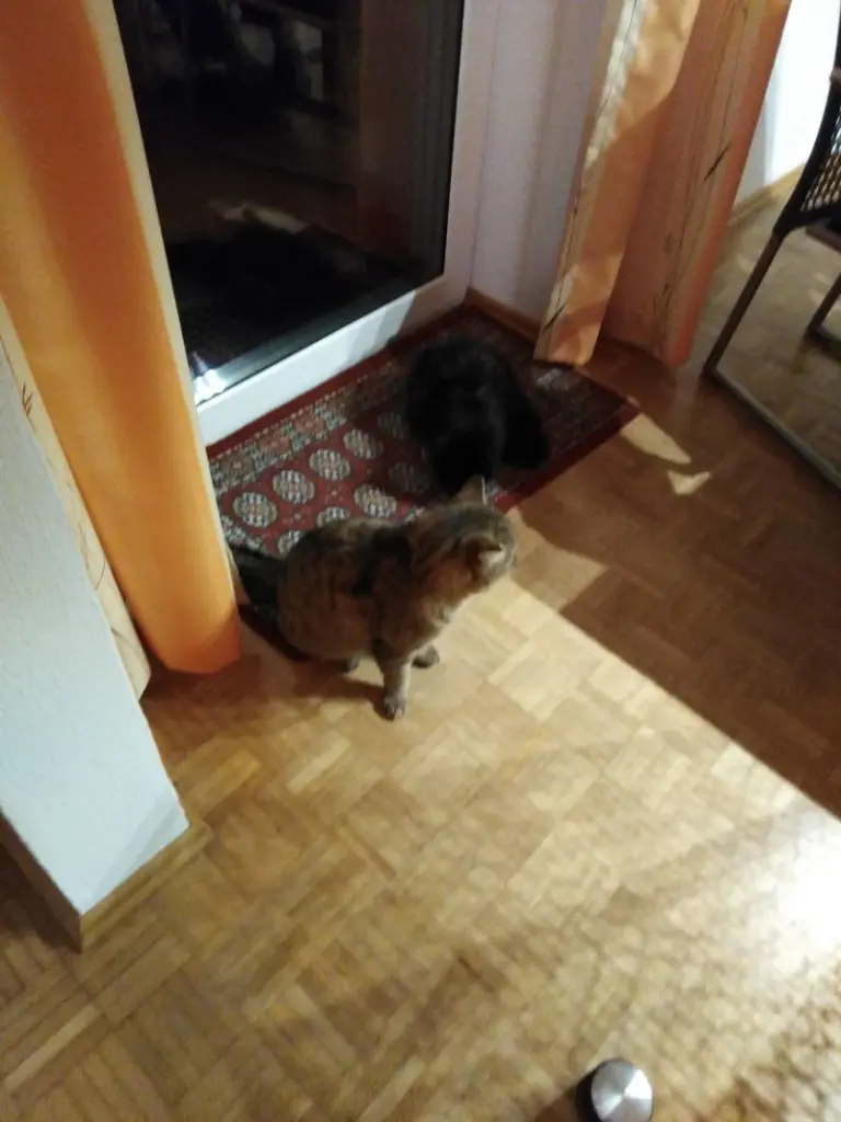 Condolence image of Manuela Blaskowitz