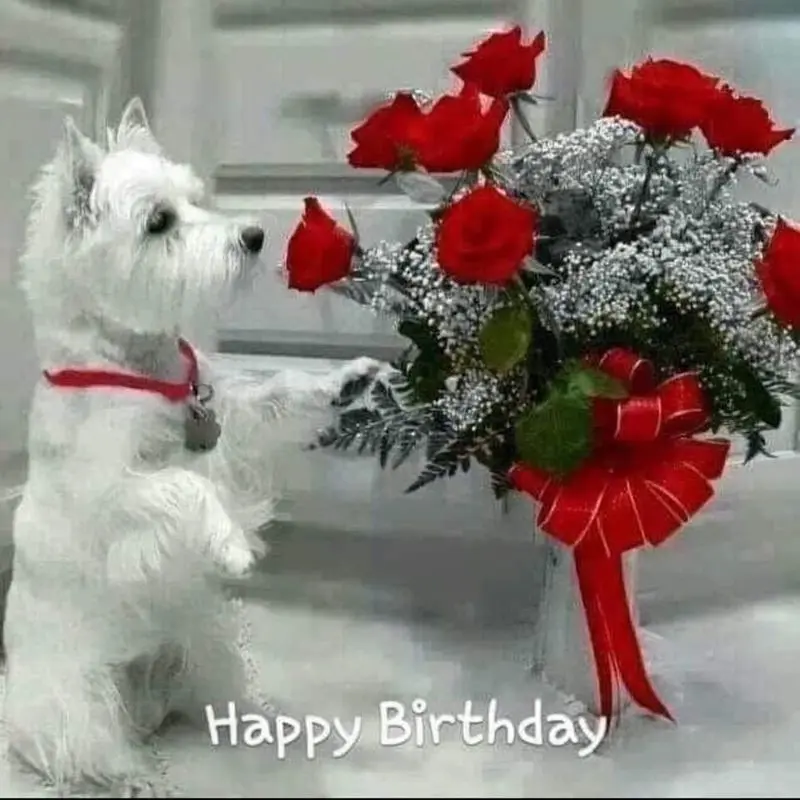 Condolence image of Olli ????und Verena 