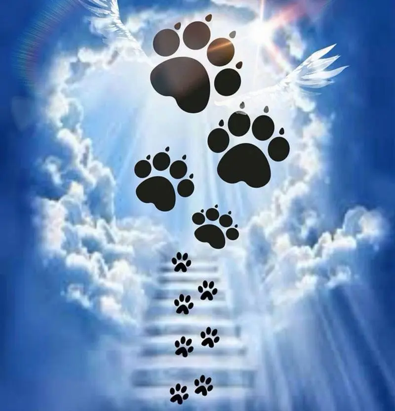 Condolence image of Stephanie