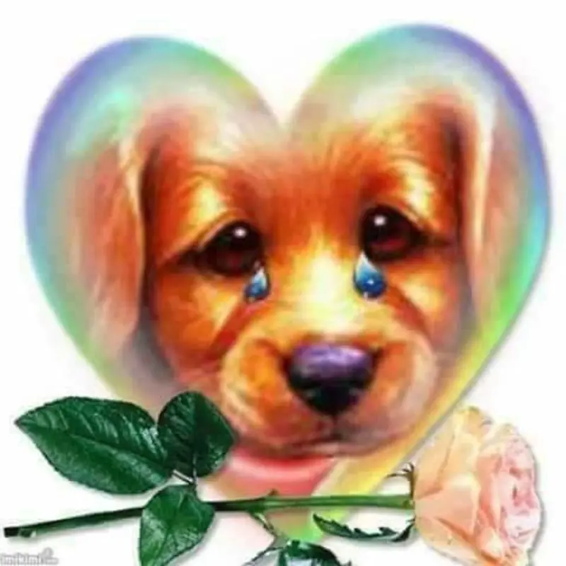 Condolence image of Ursula 