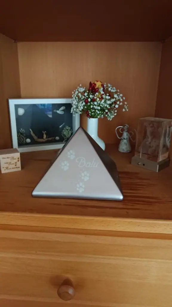 Condolence image of Ina Erberich