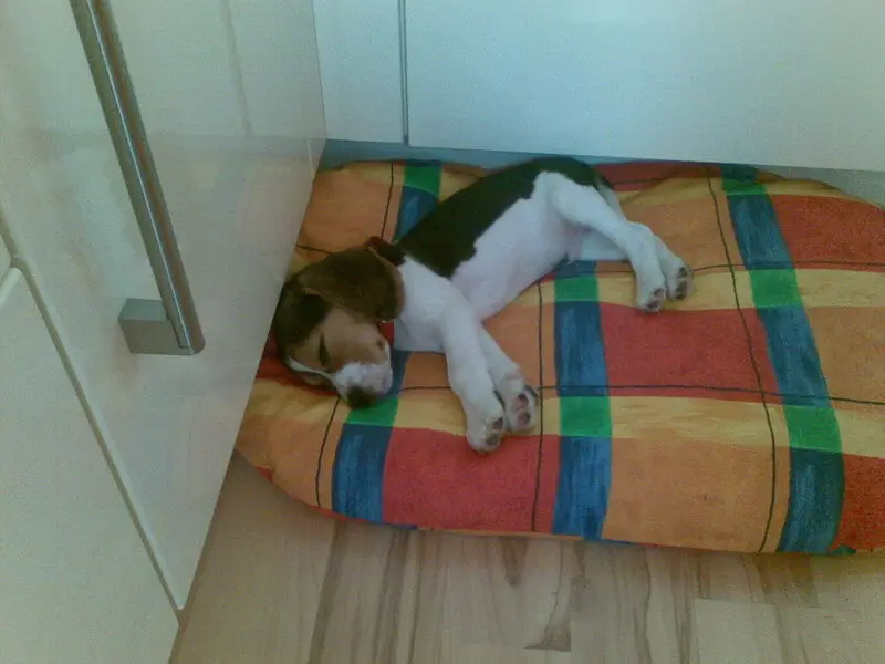 Condolence image of GABRIELE