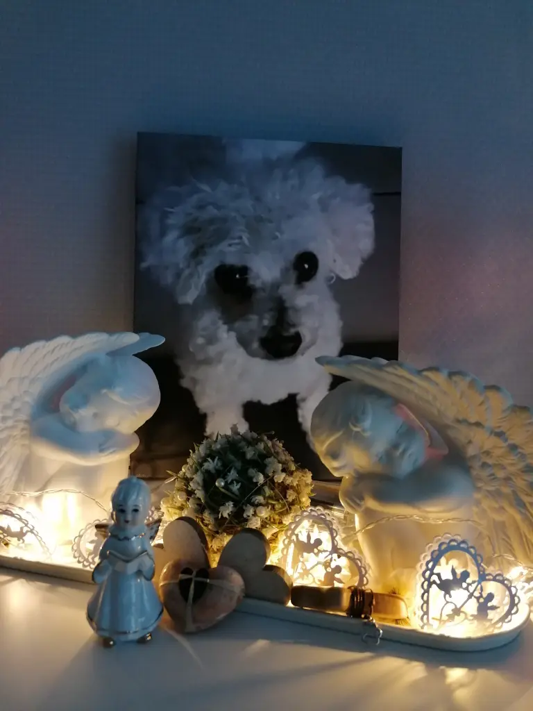 Condolence image of Gaby mit Snowy ❤️