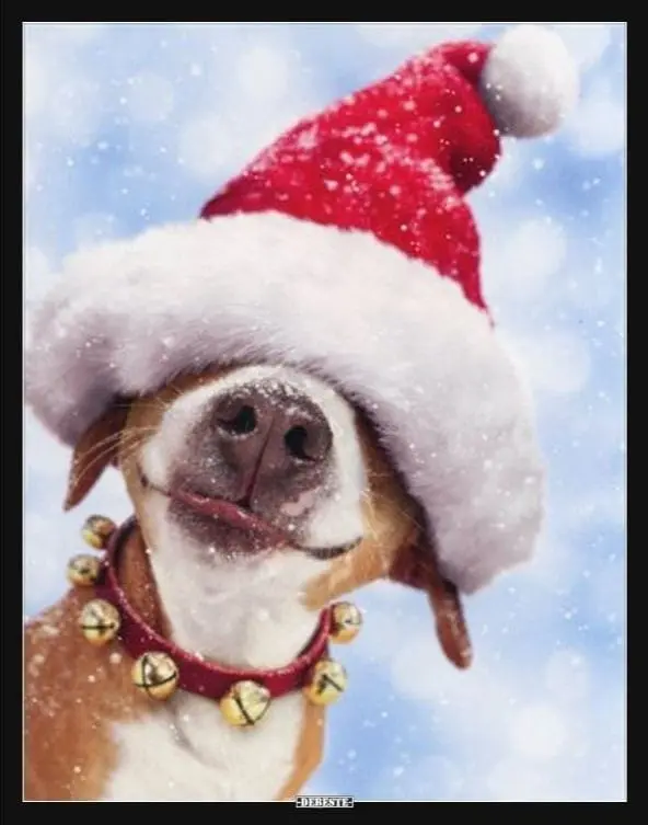 Condolence image of eure Fellnasen Clique