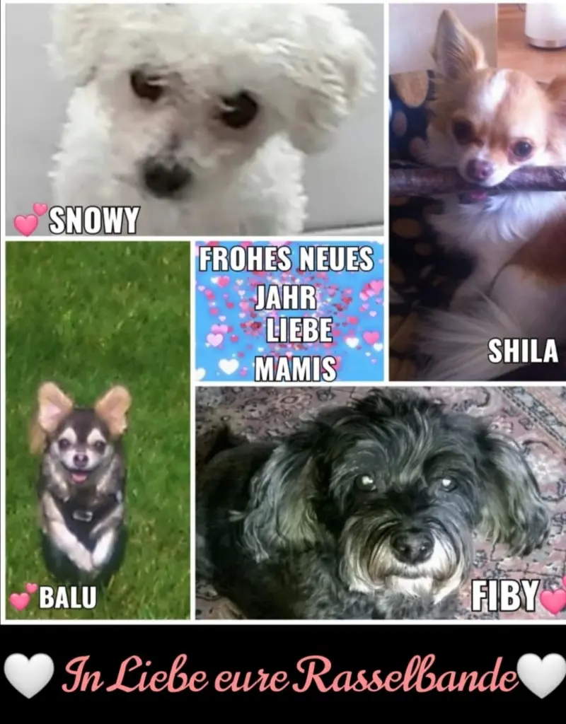 Condolence image of Von Snowy ❤️