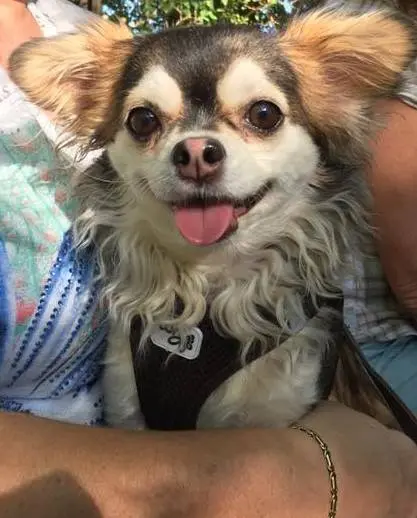 Condolence image of Ina