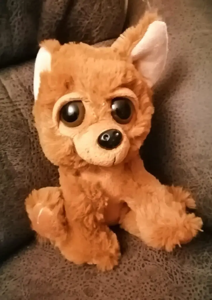 Condolence image of von Fiby und Snowy